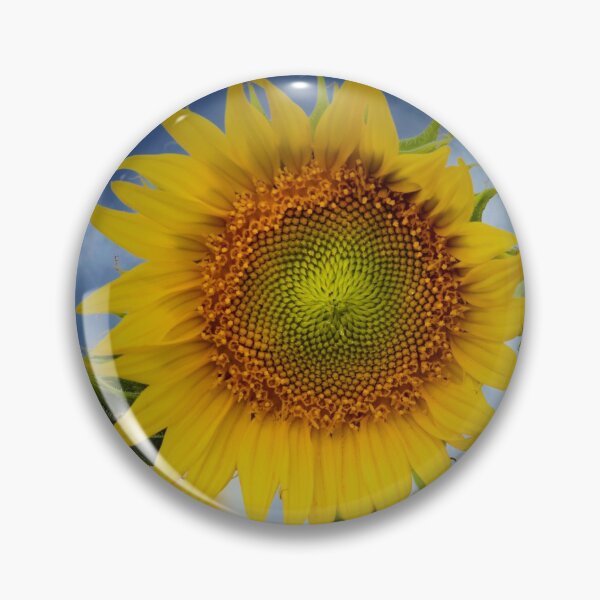 Item preview, Sunflower Dreams Part One designed and sold by lmocimages.