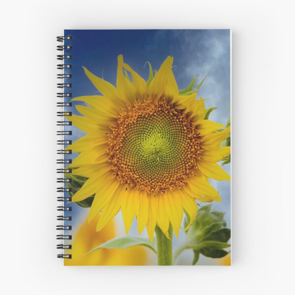 Item preview, Sunflower Dreams Part One designed and sold by lmocimages.