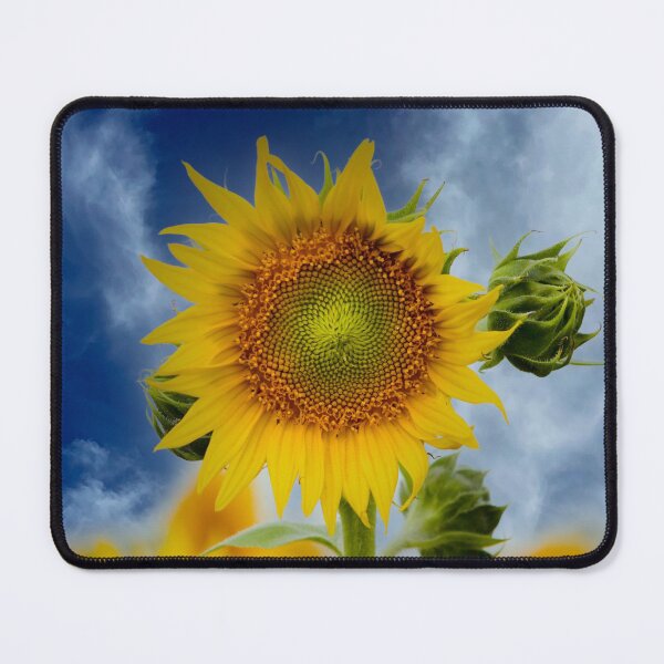Item preview, Sunflower Dreams Part One designed and sold by lmocimages.