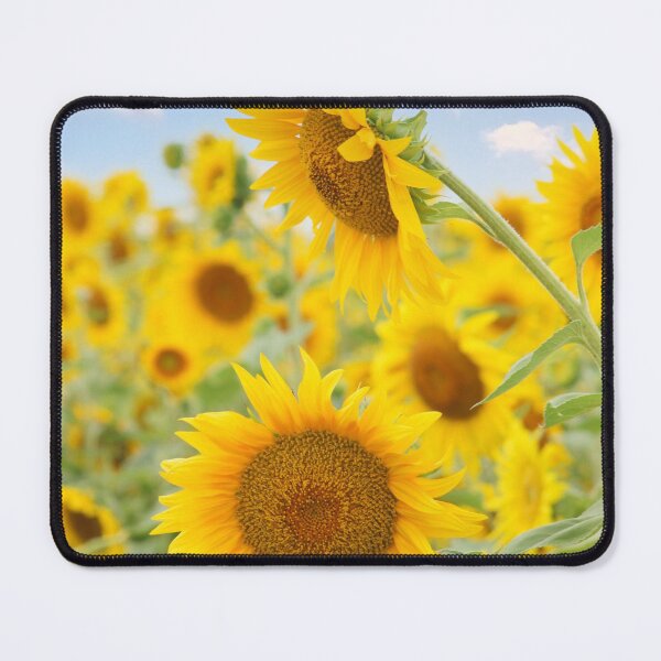 Item preview, Yellow Sunflowers With A Bright Blue Sky designed and sold by lmocimages.