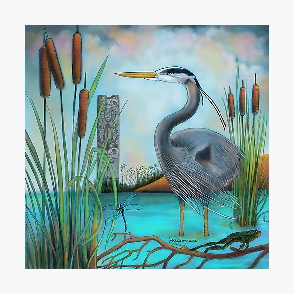 Squamish estuary heron. Photographic Print