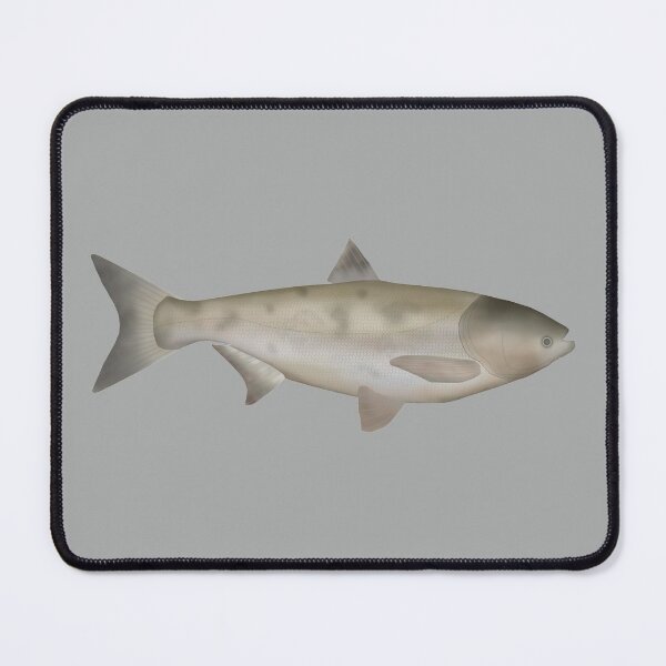 Item preview, Bighead Carp designed and sold by fishfolkart.