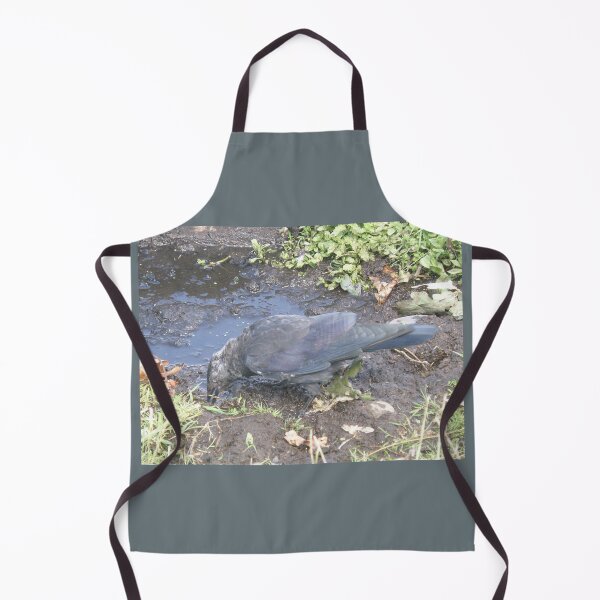 Item preview, Jackdaw Feeding by the Water Photograph designed and sold by naturegallery.
