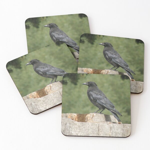 Item preview, Crow on a Tree Stump Photograph designed and sold by naturegallery.