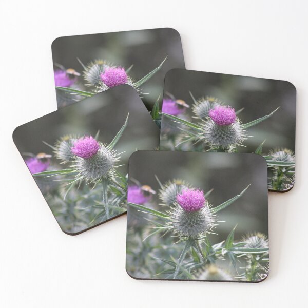 Item preview, Scottish Thistles Photograph designed and sold by Braw-Merch.