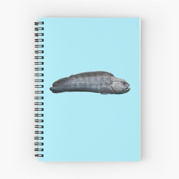 Artikelvorschau, Atlantischer Wolffish Farbdesign entworfen und verkauft von designsasstultd.