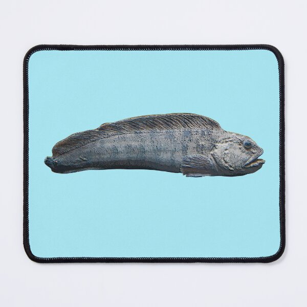 Item preview, Atlantic Wolffish Color Design designed and sold by designsasstultd.