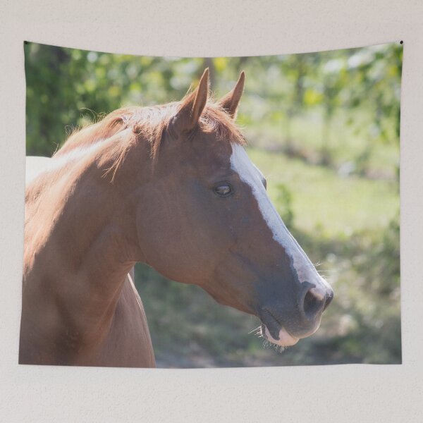 Item preview, Country Girl designed and sold by Jacquelie.