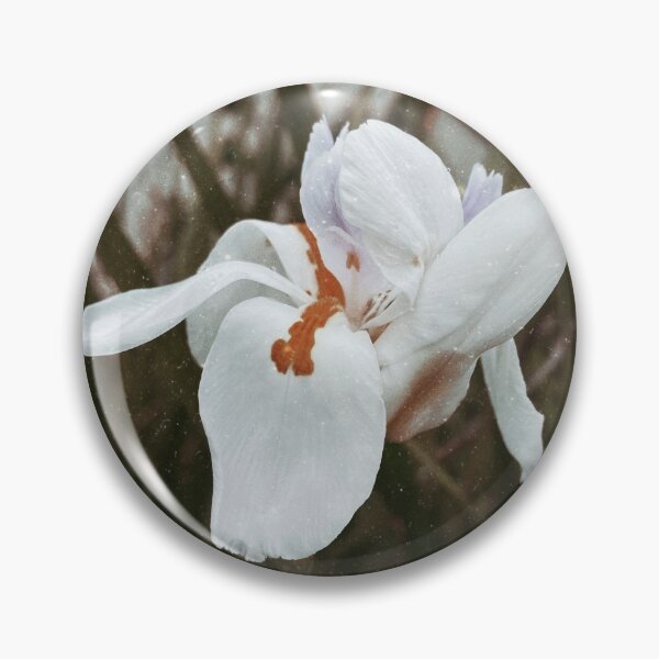 Aperçu de l'œuvre Fleur blanche à côté d'un bâtiment créée et vendue par CelxStudio.