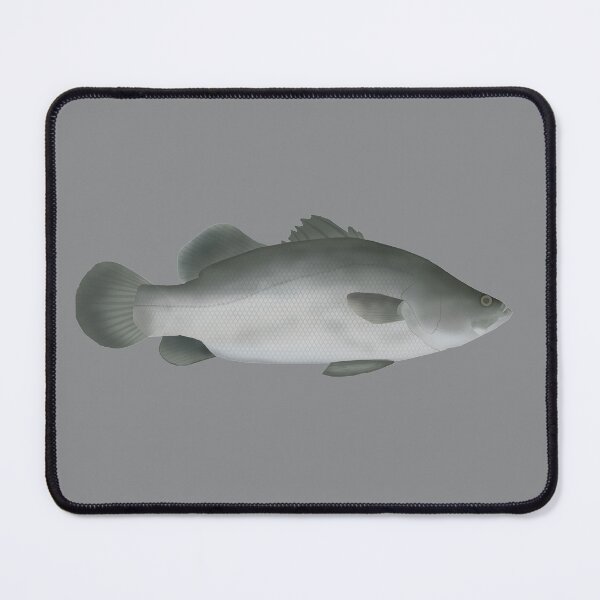 Item preview, Barramundi designed and sold by fishfolkart.