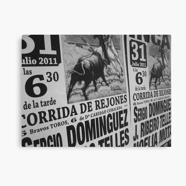 Torro Canvas Print