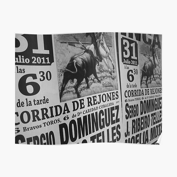 Torro Poster