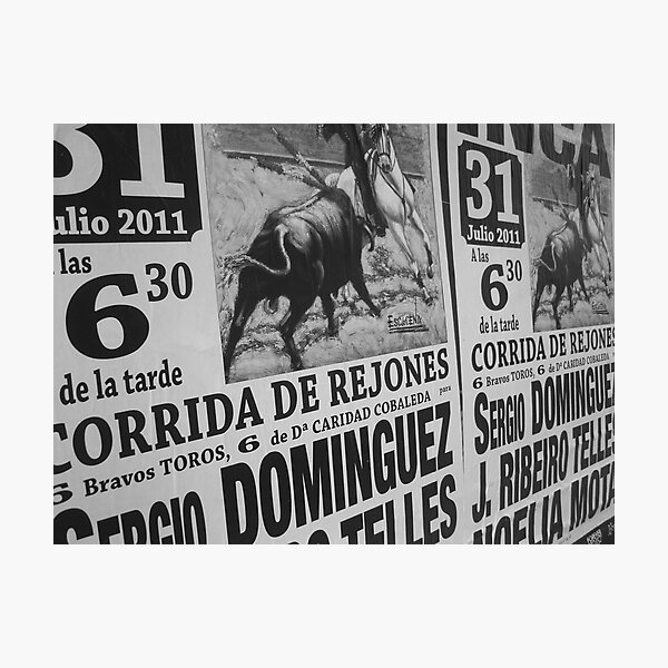 Torro Photographic Print