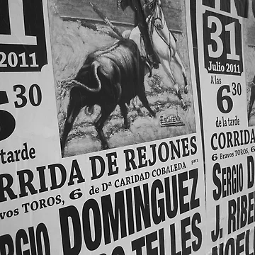 Artwork thumbnail, Torro by Doug Cook