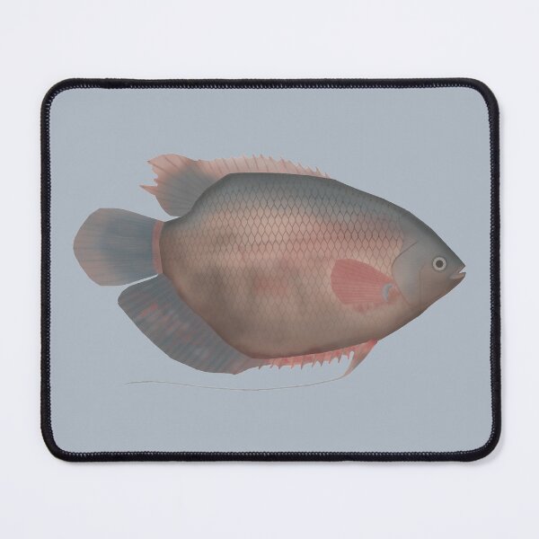 Item preview, Elephant Ear Gourami designed and sold by fishfolkart.