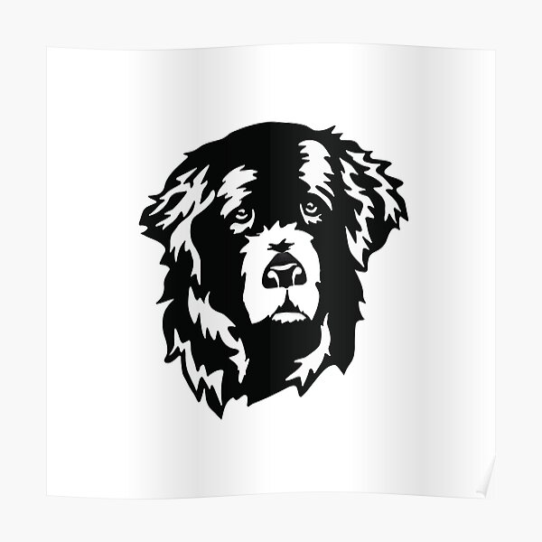 Sweet Newfoundland Dog Face Poster