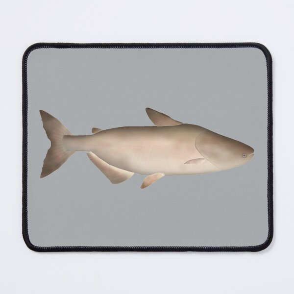 Item preview, Mekong Giant Catfish designed and sold by fishfolkart.