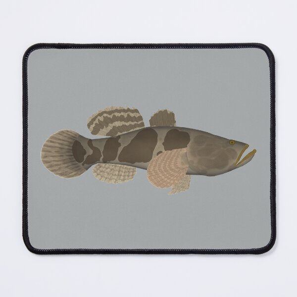 Item preview, Marble Goby designed and sold by fishfolkart.