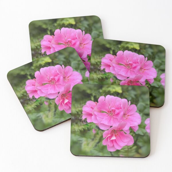 Item preview, Pink Geranium Photo designed and sold by Dusty-Penny.