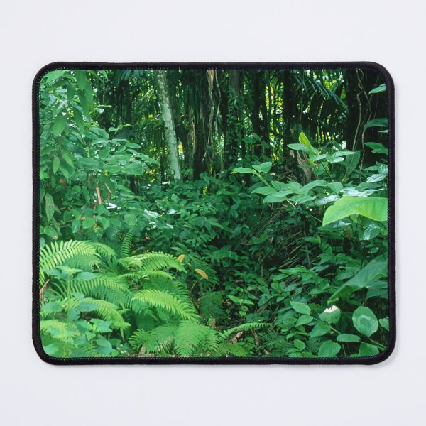 Item preview, Lush Rainforest Jungle Adventure Trek In Costa Rica designed and sold by DEC02.