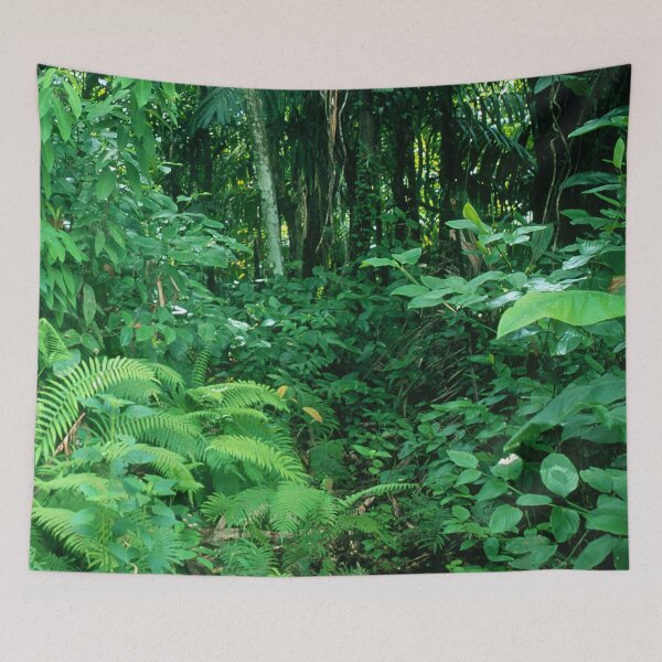 Item preview, Lush Rainforest Jungle Adventure Trek In Costa Rica designed and sold by DEC02.