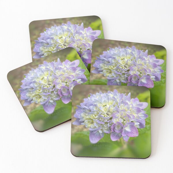 Item preview, Delicate Hydrangea Photo designed and sold by Dusty-Penny.