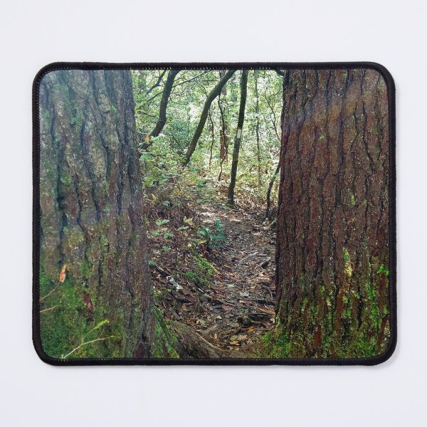 Item preview, light thru the trees designed and sold by rainingcrow.