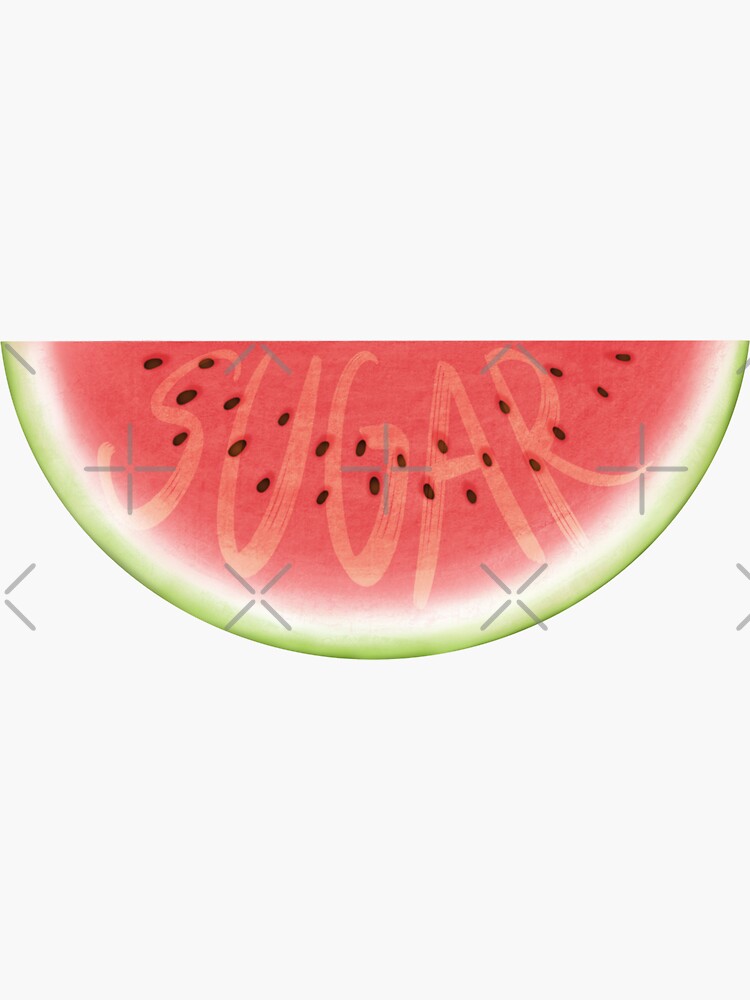 "Watermelon Sugar Watermelon Slice" Sticker for Sale by FeynDesign