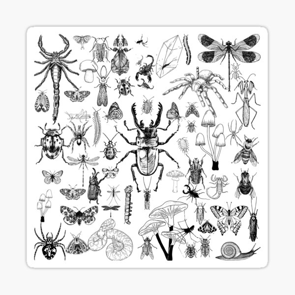 Item preview, Bugs designed and sold by WeWINS.