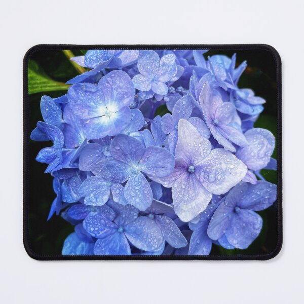 Item preview, Deep Blue Hydrangea After Rain designed and sold by Dusty-Penny.