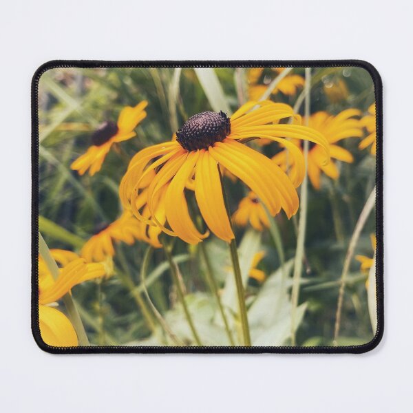 Item preview, Rudbeckia designed and sold by Dusty-Penny.