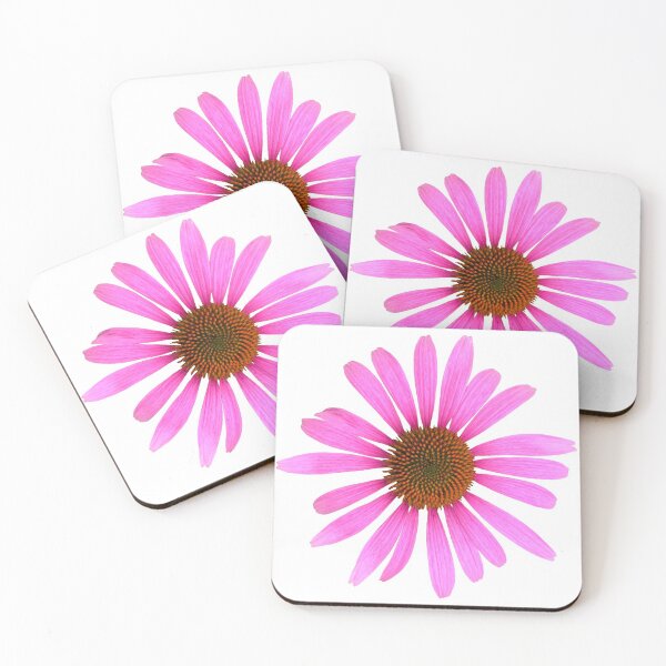 Item preview, Purple Echinacea Flower Still Life Floral Photography designed and sold by CottoVerdi.
