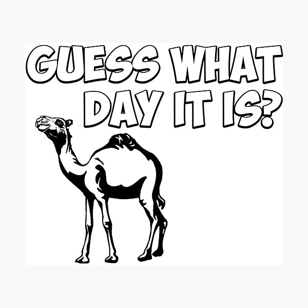 Guess What Day It Is Hump Day Camel Legging. By Artistshot