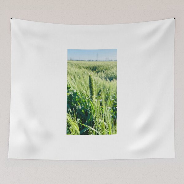 Item preview, Nature designed and sold by Photolotto.