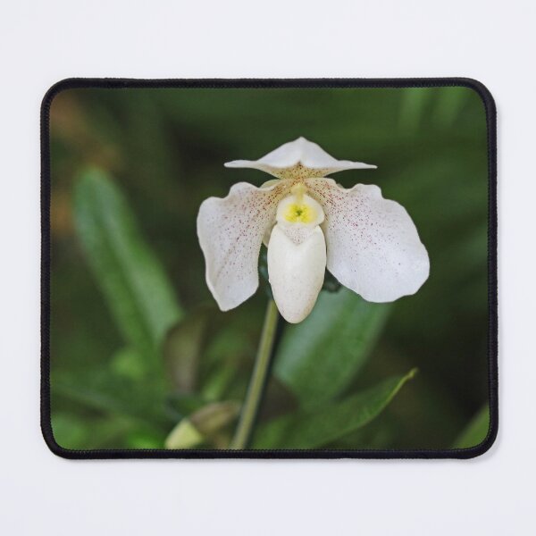 Item preview, General Contentment designed and sold by Michiale.