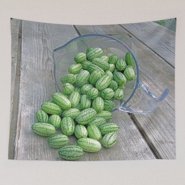 Item preview, Mouse Melons on an Old Workbench designed and sold by AuntyReni.