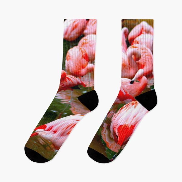 Item preview, Flamingos  designed and sold by Victoria  Cook.