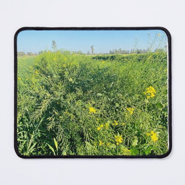 Item preview, Mustard plants designed and sold by Photolotto.