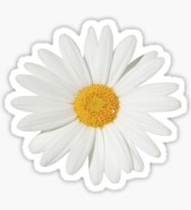 Daisy Sticker