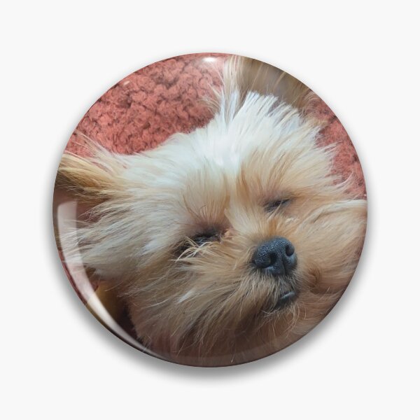 Item preview, Yorkie in jammies designed and sold by Roadslestraveld.