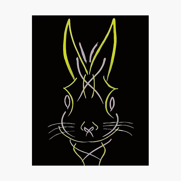 Mad rabbit  Poster for Sale by DilysDrwg