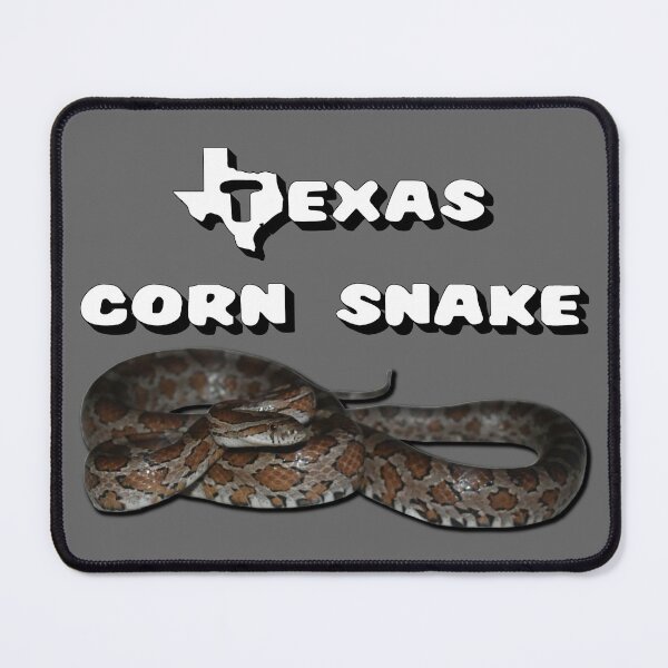 Item preview, Texas Corn Snake designed and sold by Paul-Prints.