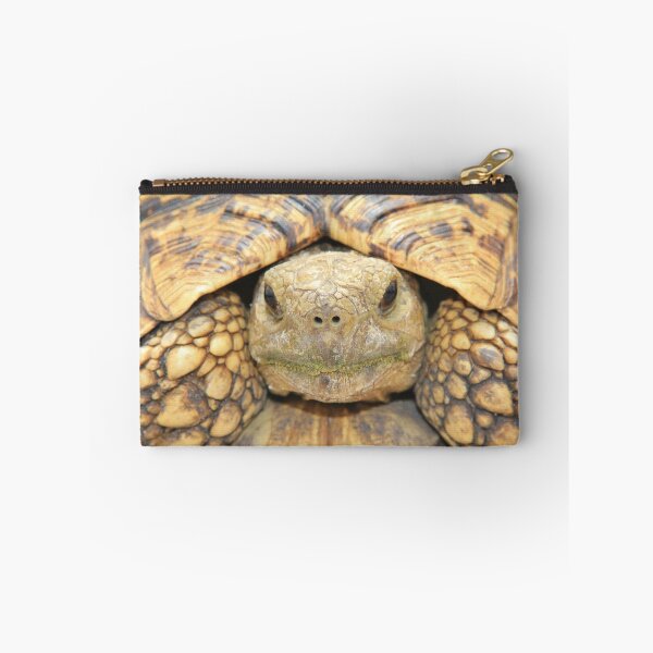 Artikelvorschau, Tortoise Stare - Ernsthafte Einschüchterung von Spaß entworfen und verkauft von LivingWild.