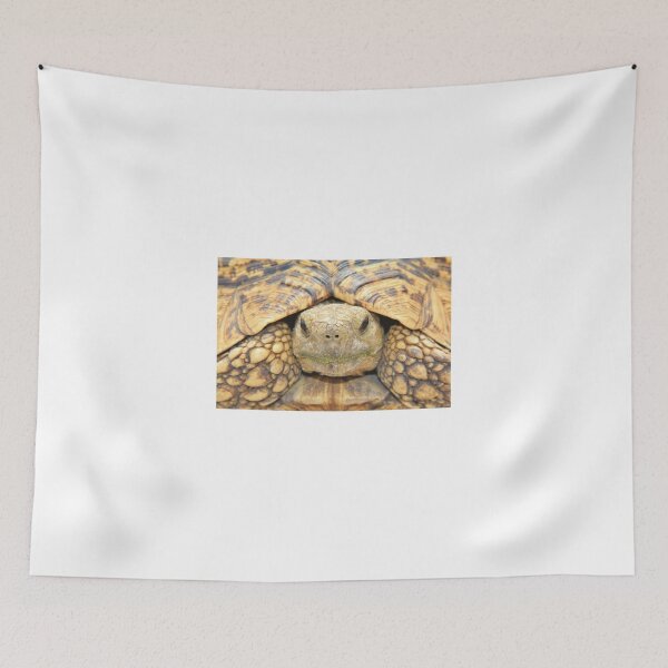 Item preview, Tortoise Stare - Serious Intimidation of Fun designed and sold by LivingWild.