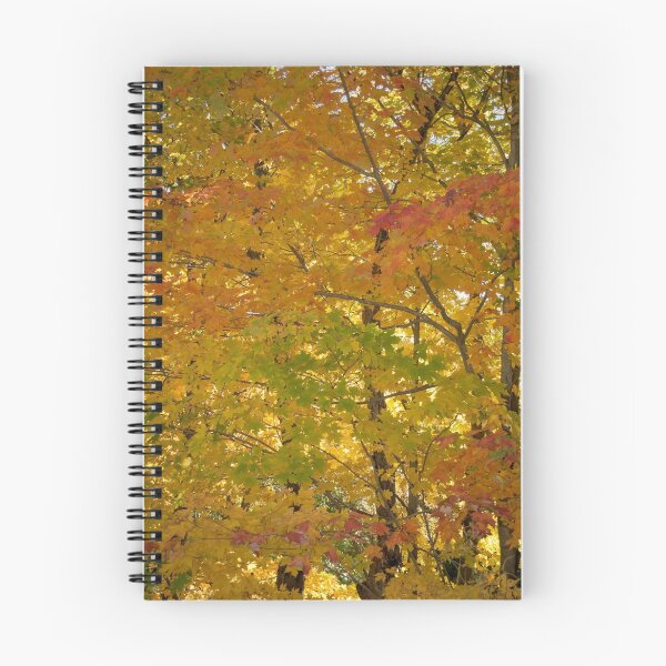 Item preview, Autumn Dance designed and sold by Rebecca Bryson.