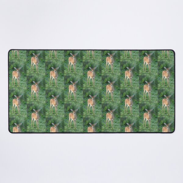 Steinbuck male Desk Mat