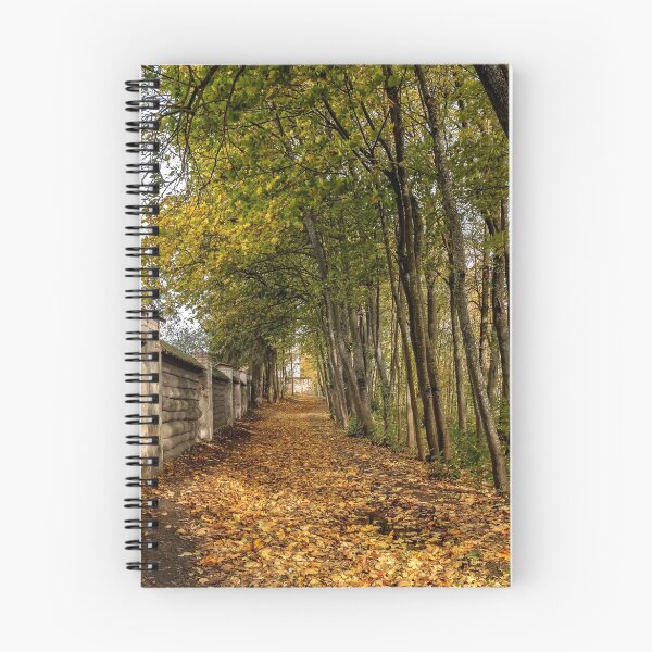 Item preview, Fence near the monastery designed and sold by Geraldas Galinauskas.