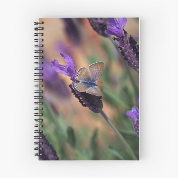 Item preview, Uniting Us Together designed and sold by Joy Watson - Natural Light Photography .