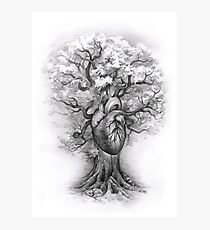 A Sleeping Heart Photographic Print