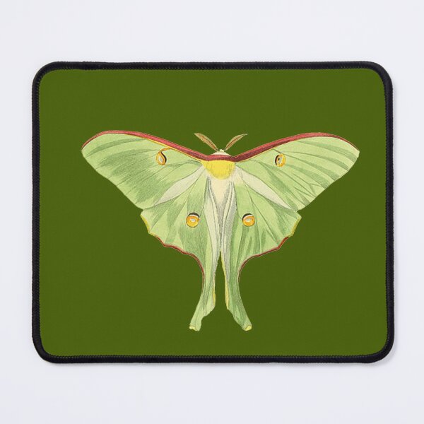 Item preview, Luna Moth designed and sold by Everythingafter.